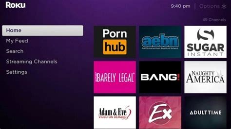 roku tv porn apps|List of Roku Porn Channels & Apps: Best Alternatives in 2024